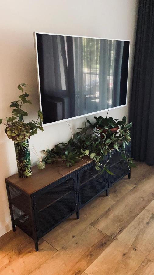 Sofa Apartment